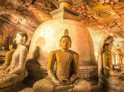 Nuevo: Calendario eventos Grupo Ryokan