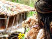 planes para disfrutar mascota Asturias