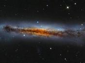 galaxia Hamburguesa