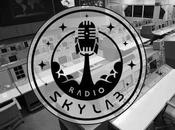 Radio Skylab, episodio Subsistema.