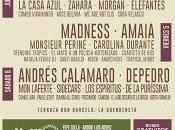 Festival PortAmérica 2019, Confirmaciones