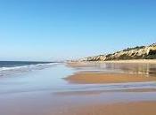 Libros recomendados para verano 2019