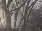 despertar consciencia