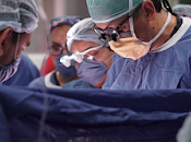 Logra edoméx donaciones multiorgánicas meses