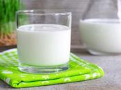 Kefir, bebida láctea fermentada saludable