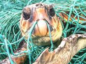 Campañas sobre plástico nuestros mares