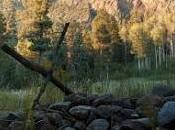 Logan