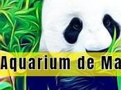 Visitar Aquarium Madrid