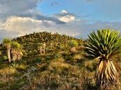 Minera quiere explotar tierras zona Wirikuta