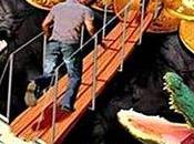 creencias irracionales pueden arruinarnos vida según Albert Ellis.