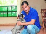 mascota (diario verdad)