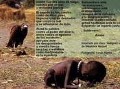 Indignaos (II)