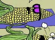 Usar bien protector solar importante