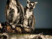 gusta cuando votas porque estás como ausente