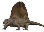 Dimetrodon