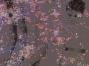 Blouse Shadow (2011)
