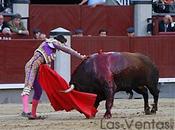 derrumba Torreón