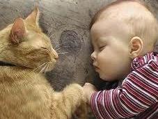 Niños animales