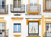 Diversidad Ventanas.