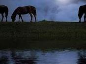 Toda lucha resistencia encontrarnos amor somos