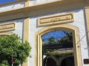 Visita Bodega Lustau, bodega Marco Jerez premios toda España