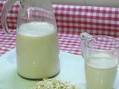 Receta fácil leche bebida avena casera