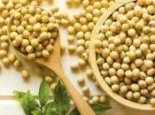maravillosos beneficios proteína soja