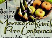 ruta calidad Bierzo regresa manzana reineta pera conferencia como protagonistas