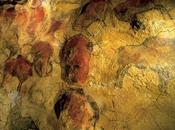 Cómo visitar cuevas Altamira?