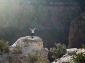 Fortaleza Mental: cómo evalúa