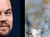 último!: Leonardo Dicaprio dona millones para ayudar combatir incendios forestales Amazonía