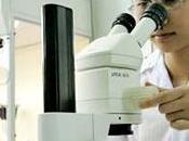 Enfoque sistémico: sociedad como sistema autorreferente autopoiético.