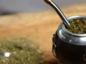 Tomar mate será caro: acuerdan aumento para yerba