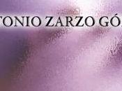 Reseña: Consejo: Claridad