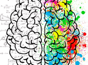 Neuromito: creatividad encuentra hemisferio derecho cerebro