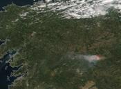 Incendio forestal Monforte (05/09/2019)