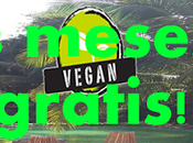 ¡ATENCIÓN VEGANOS!: Resort vegano ofrece meses estadia "GRATIS" Belice