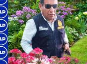 Mirar allá jardín...