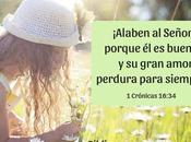 Gratitud