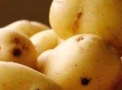 papas