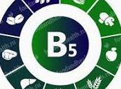 Pantotenamida podría eliminar parásitos causantes Malaria