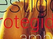 Reseña Testigo protegido, Amber Lake
