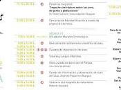 Festival migración aves