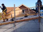 Expertas lineas vida
