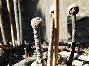 Territorios ocultos