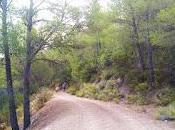 Cómo conducir manera ecológica