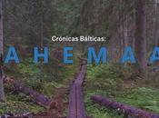 Crónicas bálticas: parque nacional lahemaa (ii)