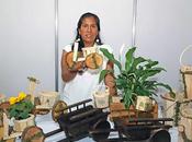 Impulsan crecimiento micro pequeños comerciantes indígenas entidad