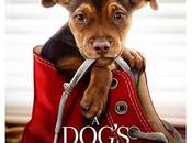 Familia. Dog's Home.- Vamos Cine Cartelera tenemos película