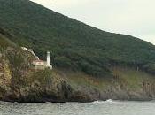 Vamos buscar marinas